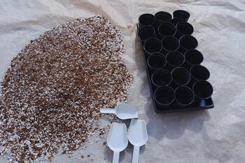 Son considerados sustratos "inteligentes" porque