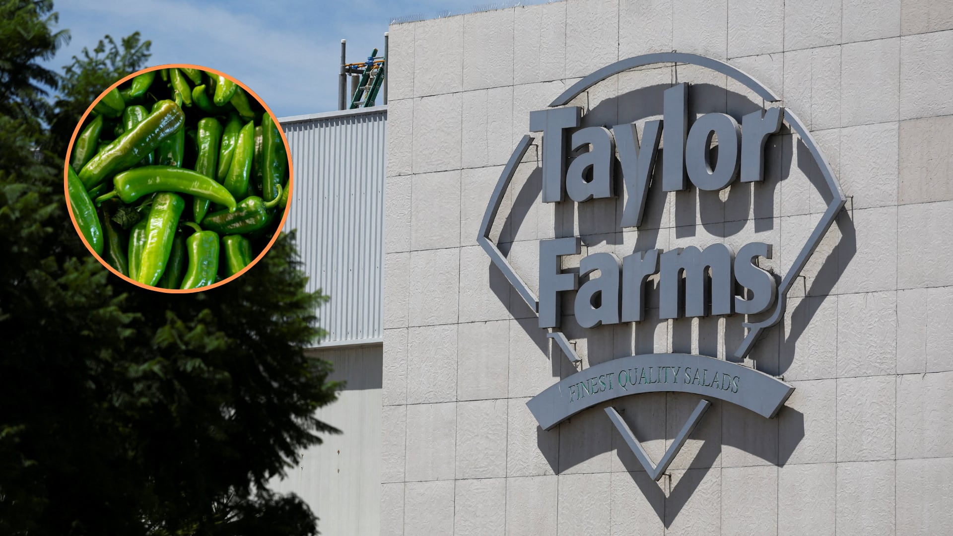 Taylor Farms retira más de 20 productos con jalapeños por un brote de salmonella en Estados Unidos