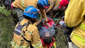 Un hombre de 75 años salió a caminar y se perdió: lo encontraron cuatro días después con hipotermia