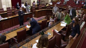 Rata senado andalucía