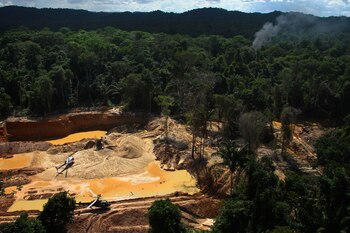 Helicópteros de la Agencia Ambiental de Brasil sobrevuelan un campamento de minería ilegal durante una operación para intentar contener esta práctica en el territorio indígena yanomami, estado de Roraima, Brasil (Foto AP/Edmar Barros, Archivo)