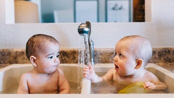 El número absoluto de partos