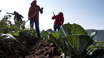 PAN tundió a AMLO por