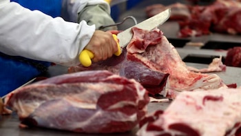 Récord histórico: cuántos dólares aportaron las exportaciones de origen vacuno en 2025