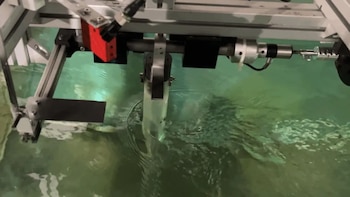 Desarrollan innovador sistema que convierte