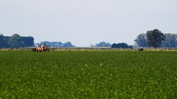 Sólo el Congreso puede fijar