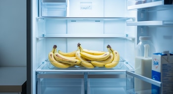 Refrigerador abierto con varias manos de plátanos en una bandeja transparente, una botella y un cartón de leche en la puerta.