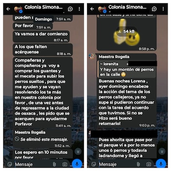 Capturas del grupo de la colonia, donde la secretaria de las mujeres de Oaxaca habría encabezado la redada contra los animales. Crédito: Redes Sociales