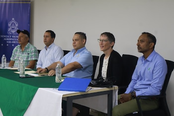 La demanda anual de frijol en Honduras ronda los tres millones de quintales y refuerza la prioridad de aumentar la producción con semilla certificada.