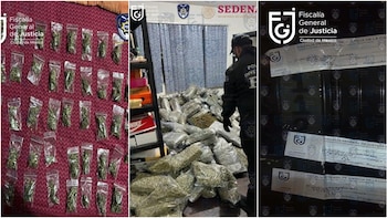 En diversas acciones emprendidas contra