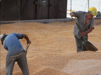 Brasil es, por mucho, el