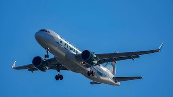 Avión de Frontier Airlines gris y verde volando en cielo azul. Tren de aterrizaje desplegado, logos de Frontier y flyfrontier.com visibles. Animales en la nariz y cola