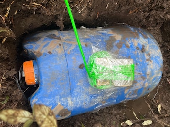 La comunidad del Pacífico caucano