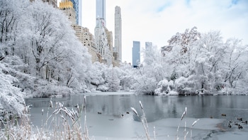 La impactante trasnformación de Central