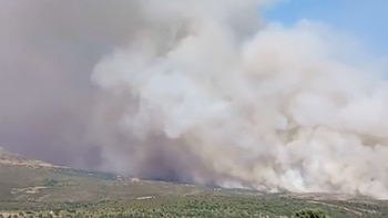Fontainebleau enfrenta una recuperación de hasta 30 años tras los incendios