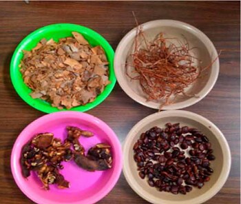 tamarindo unam bioplastico 3