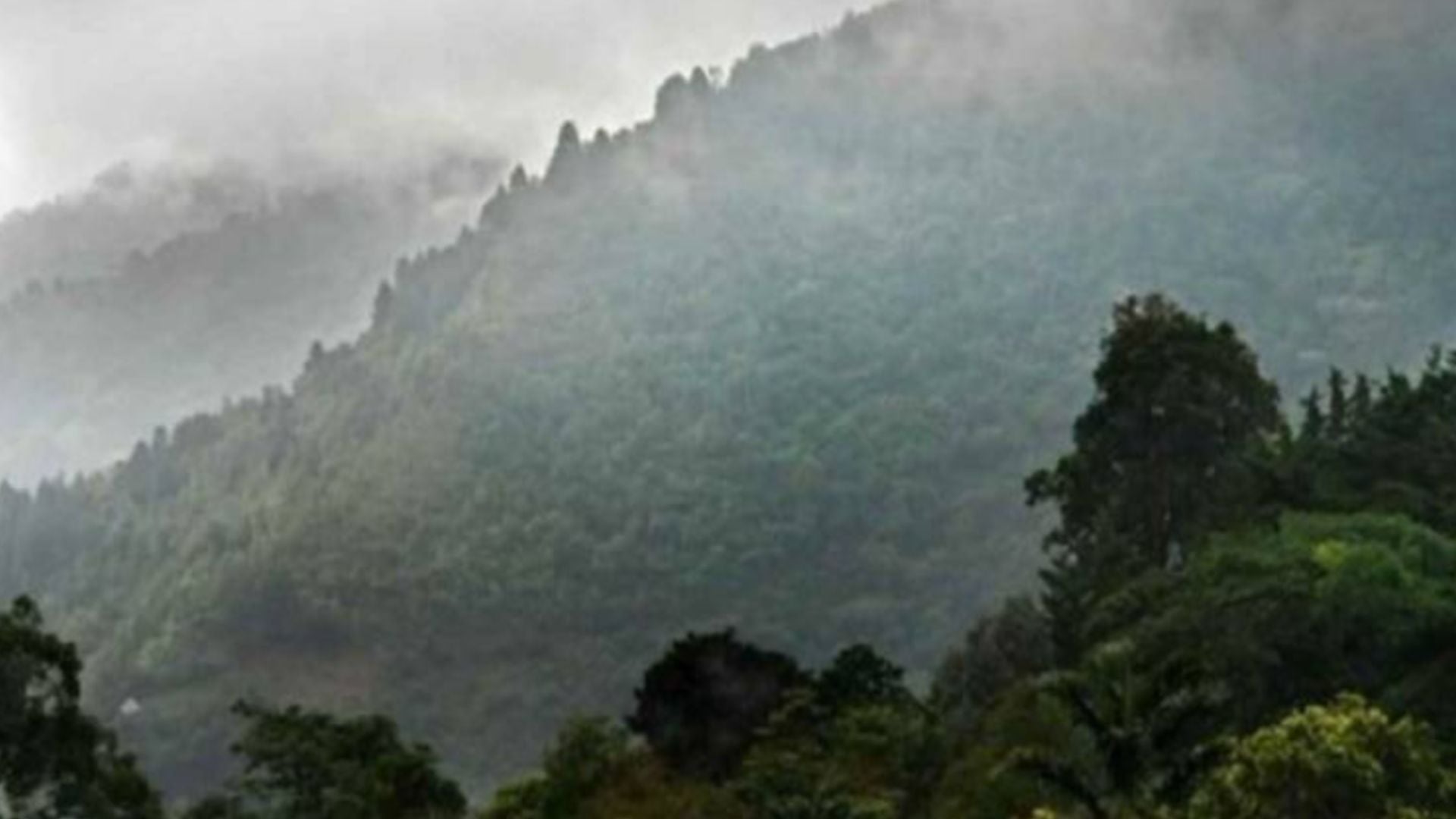 El friaje avanzará hacia el norte y alcanzará sectores de Ucayali y la selva alta, donde modificará las condiciones meteorológicas durante el día y la noche - Créditos: Andina.