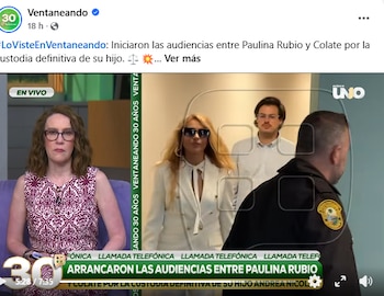 Cada padre debe más de 14 mil dólares; Paulina Rubio ya abonó una parte
(Captura: Facebook)