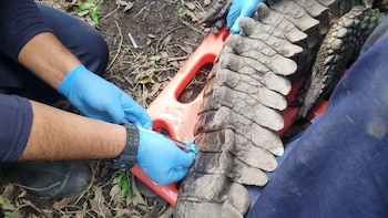 La Ñata vivirá en un