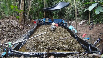 Ciudadanos españoles que viven hace