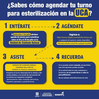 El Instituto Distrital de Protección