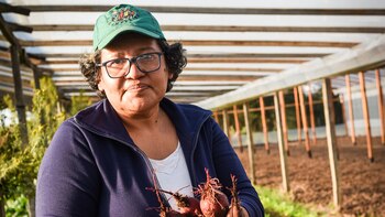 Mercedes Taboada (Foto Daniel Jatimliansky)