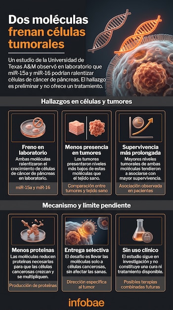 Infografía con título, modelo tridimensional de ADN con una célula y seis recuadros con texto explicativo e ilustraciones esquemáticas.