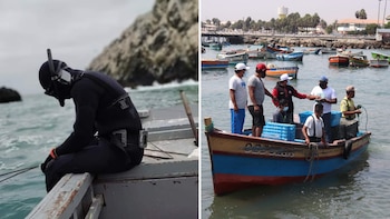 Con la nueva normativa, los