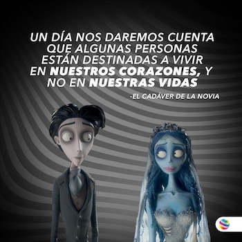 Son cuatro los títulos que podrán verse