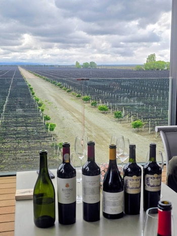 Botellas de vino y copas sobre una mesa frente a un ventanal con vista a extensas hileras de viñedos bajo un cielo nublado
