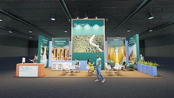 Vuelos regionales a Egipto y