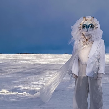 Persona con un traje blanco invernal y máscara de lechuza con ojos azules, parada en un paisaje helado bajo un cielo oscuro y nublado