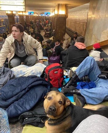 Cientos de personas se refugiaron