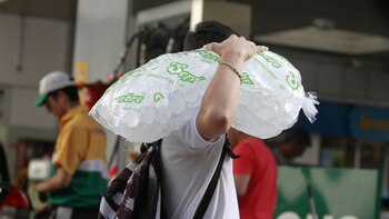 Profeco negó escasez de hielo