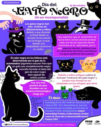Infografía con ilustraciones de gatos negros, textos explicativos en recuadros y logotipos de la Universidad Nacional Autónoma de México