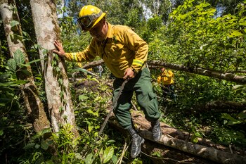 Imagen MCLTLZVY7BF7FLWFUKOD75REMI