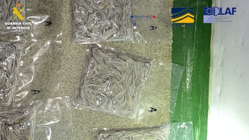 Imagen de las angulas incautadas