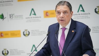 Planas pide "no precipitarse" con