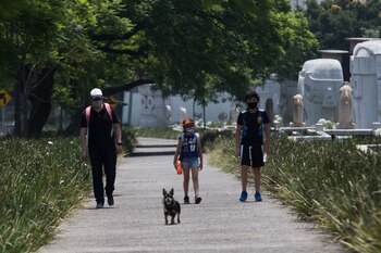 El Bosque de Chapultepec tiene