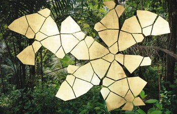 Mazenett Quiroga. Selva Intervenida (Pacífico