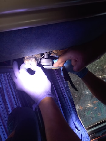 El operativo en Formosa incluyó la participación de canes entrenados para detectar estupefacientes en ómnibus