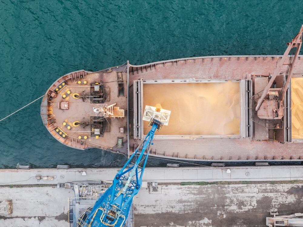 FECACERA, al igual que otras entidades del sector, propone avanzar hacia un Pacto Federal Exportador que defina una estrategia nacional sostenida en el tiempo (Foto: Shutterstock)