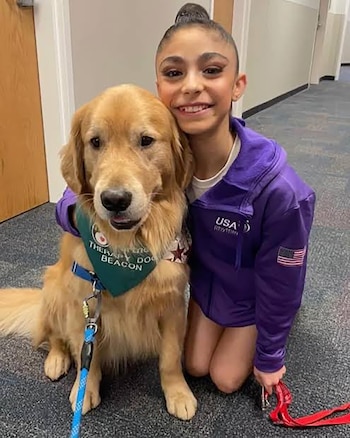 Beacon es un golden de