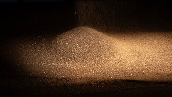 ¿Por qué Donald Trump está