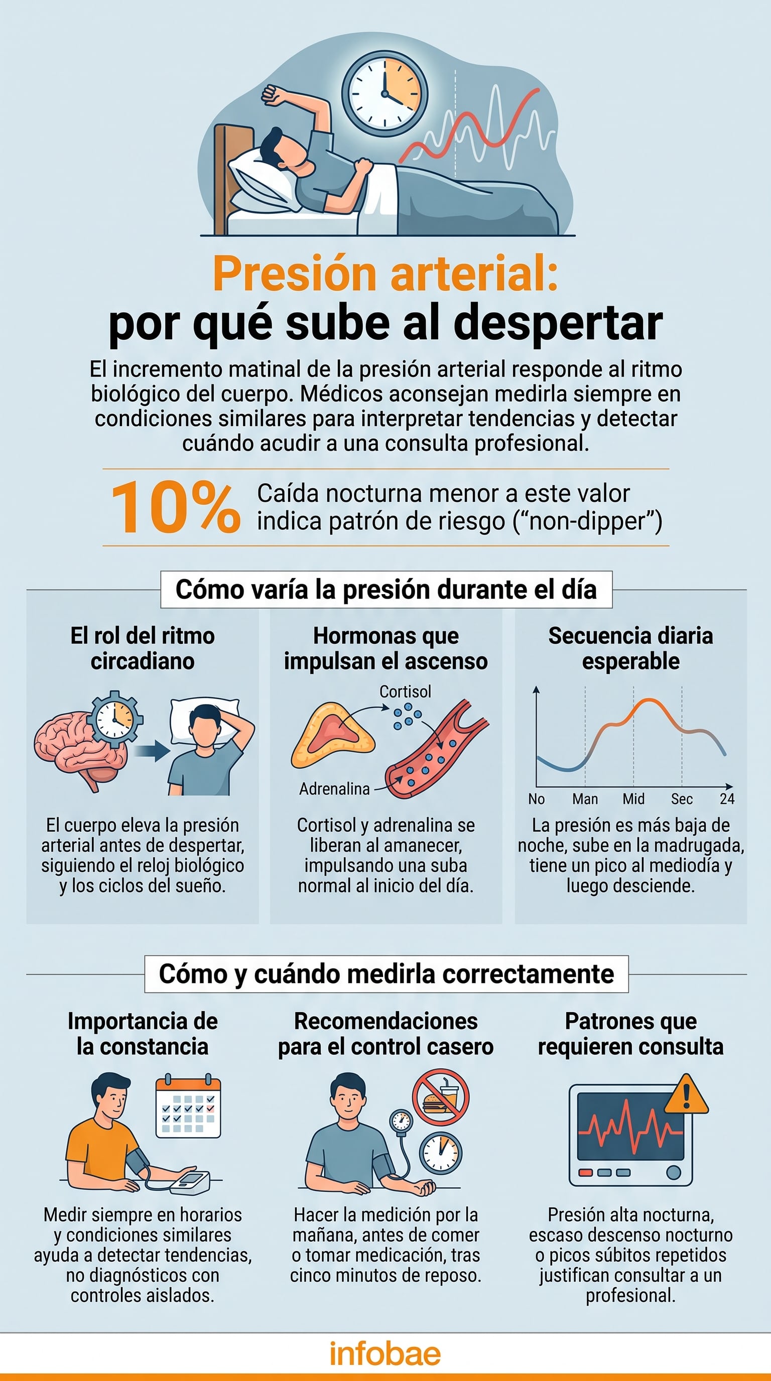 La infografía explica el aumento matinal de la presión arterial, con información sobre el ritmo circadiano, las hormonas y las pautas para su medición y seguimiento en casa (Imagen Ilustrativa Infobae)