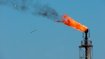 La baja del petróleo Brent, la inflación en Estados Unidos y la expectativa por la Reserva Federal cambiaron el tono del mercado cambiario en Colombia - crédito STR/EFE
