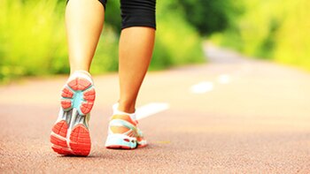 El estudio recalca la importancia