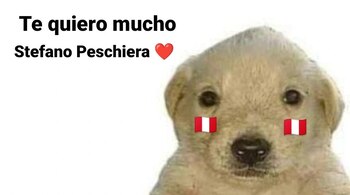 Memes por el triunfo de