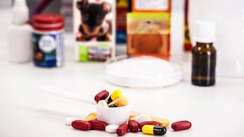 Senasa renueva el control logístico de insumos veterinarios en toda la cadena agroalimentaria