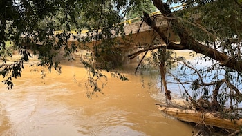 Las líneas de atención de